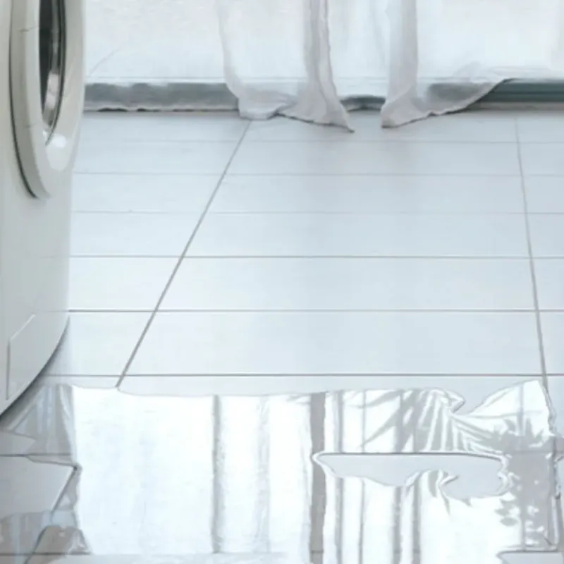 Appliance Leak Cleanup in Edwards County, IL