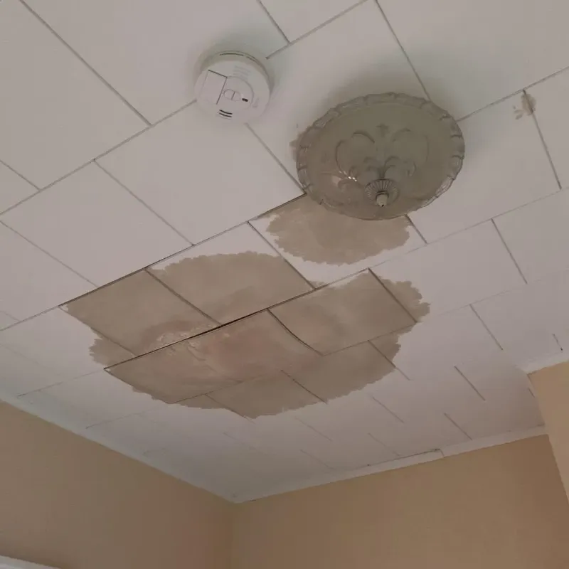 Ceiling Water Damage Repair in Edwards County, IL