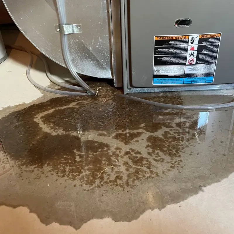 Pipe Burst and Leak Restoration in Edwards County, IL