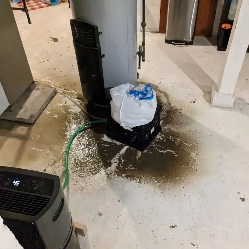 Sewage Backup Cleanup Service in Edwards County, IL